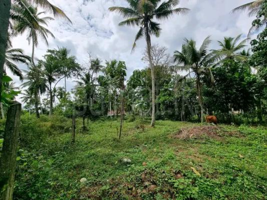 Commercial Land for Sale in Minuwangoda