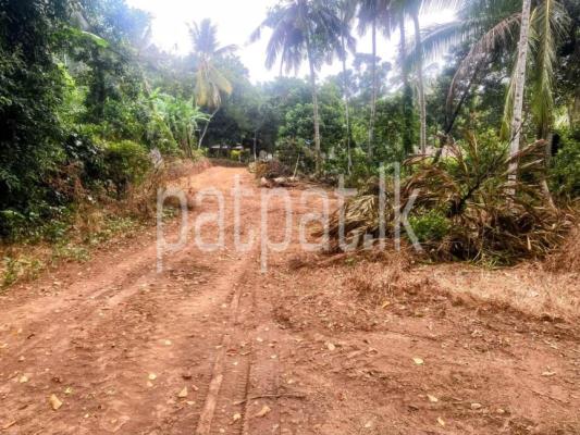 premium-listing-image