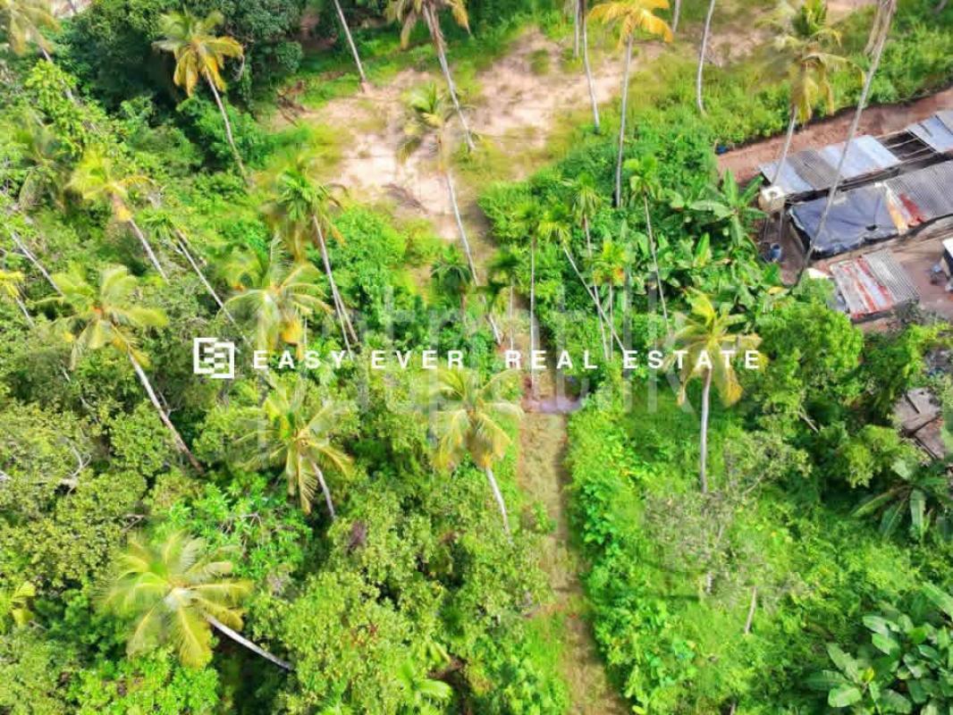 Commercial Land for Sale in Minuwangoda