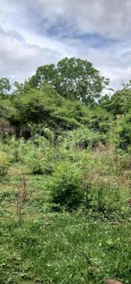 premium-listing-image