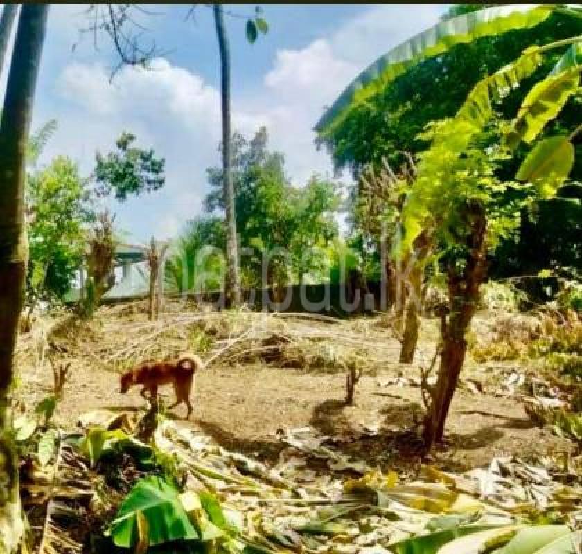 Residential Land for Sale in Karapitiya