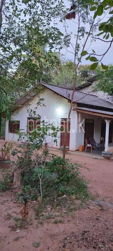 Commercial Land for Sale in Habarana