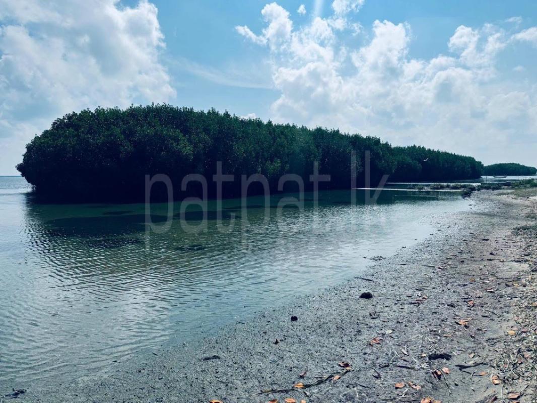 Residential Land for Sale in Kalpitiya
