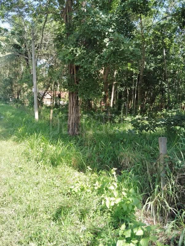 Residential Land for Sale in Narammala