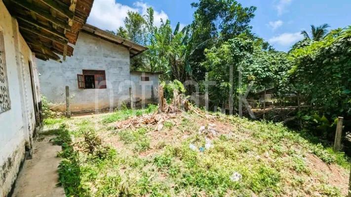 Commercial Land for Sale in Ganemulla