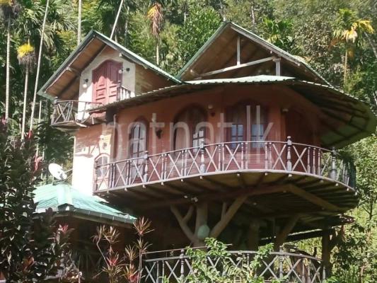 premium-listing-image