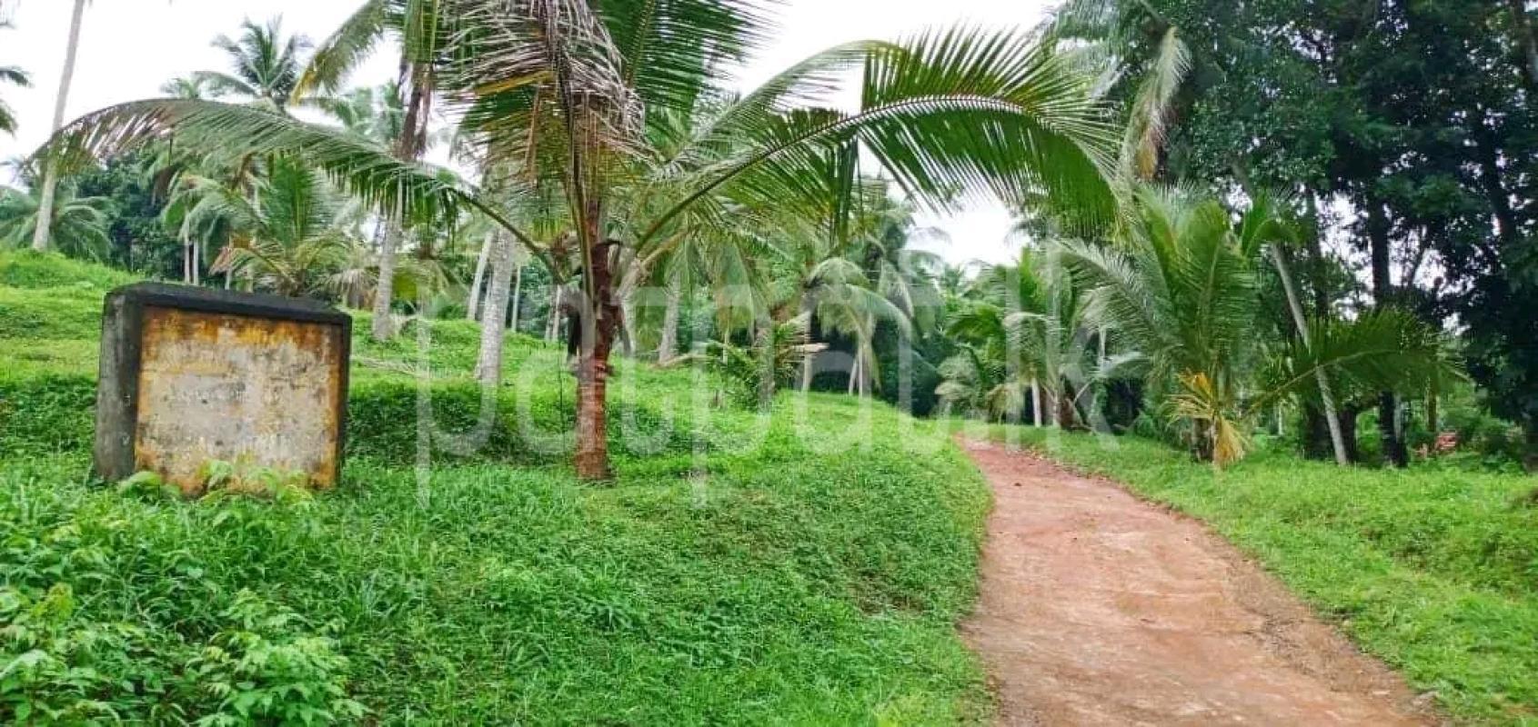 Agricultural Land for Sale in Maho