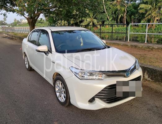 premium-listing-image