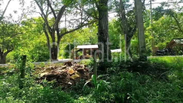 premium-listing-image