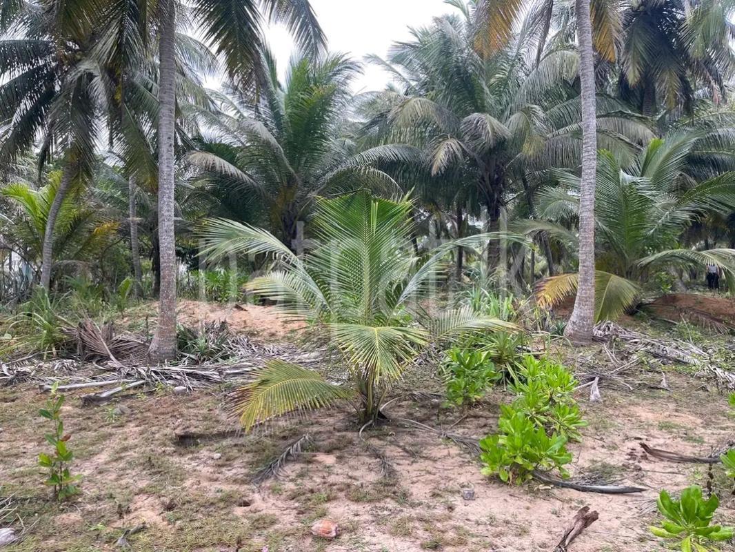 Residential Land for Sale in Chilaw