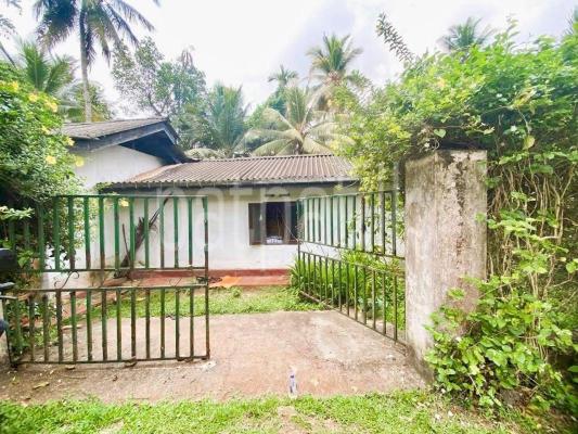 premium-listing-image