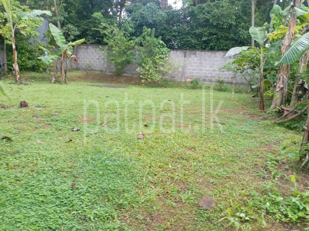 Residential Land for Sale in Wattala