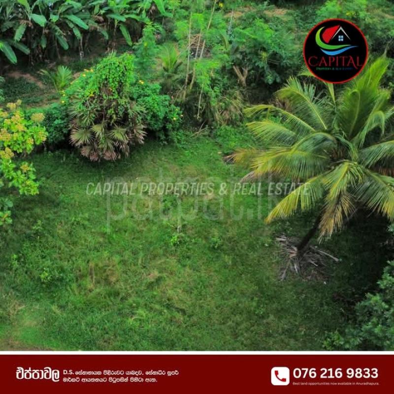 Commercial Land for Sale in Eppawala