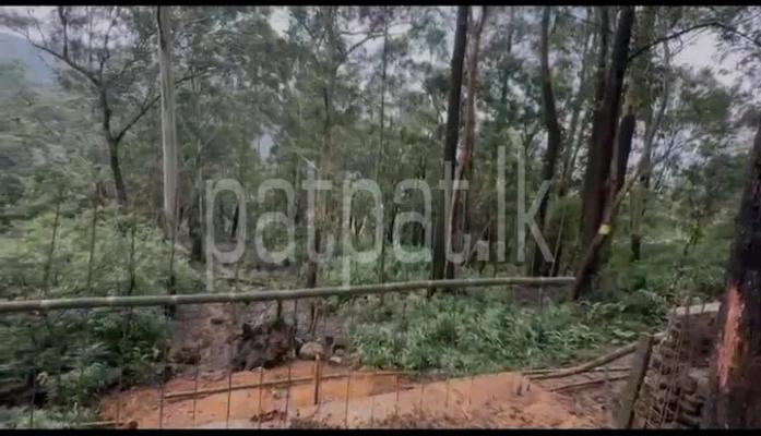 premium-listing-image