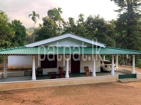 premium-listing-image