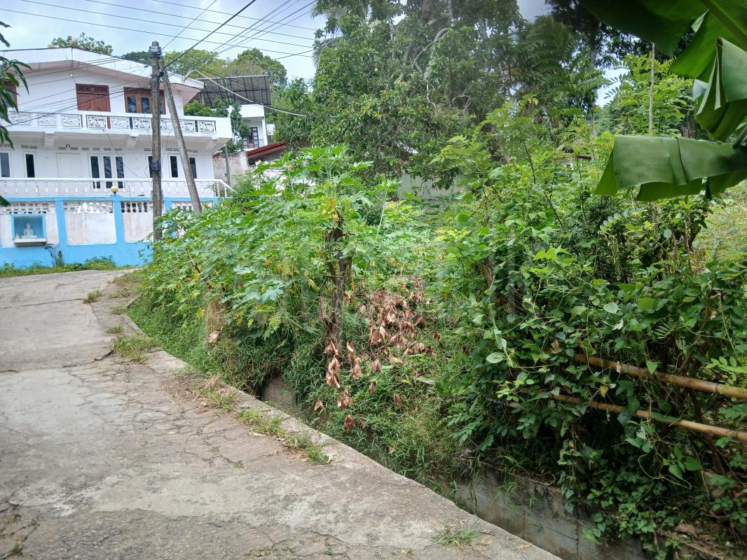 Residential Land for Sale in Gurudeniya