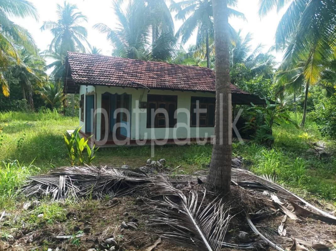 Agricultural Land for Sale in Chilaw