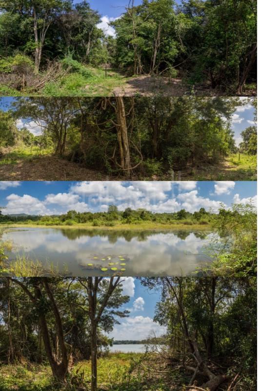 Residential Land for Sale in Sigiriya