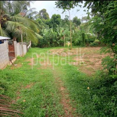 premium-listing-image