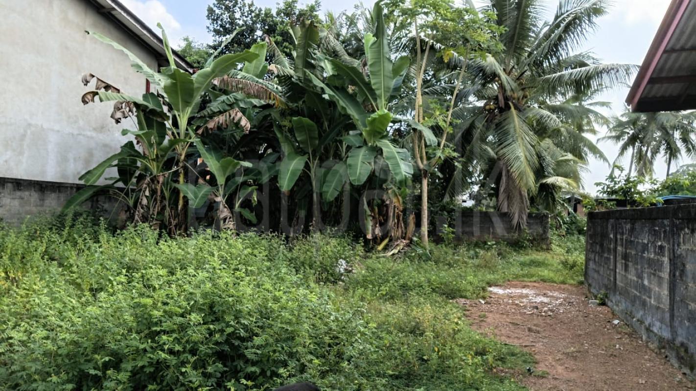 Residential Land for Sale in Delgoda