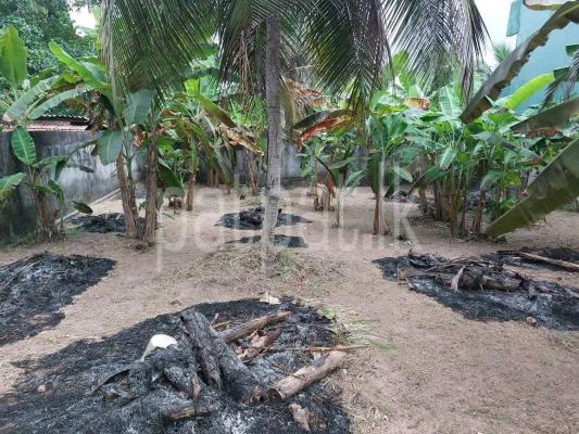 Residential Land for Sale in Ganemulla