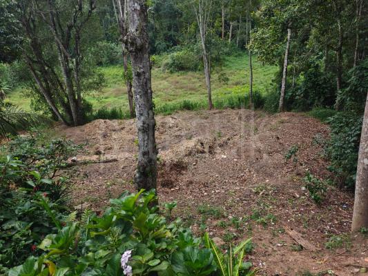 Residential Land for Sale in Bandarawela