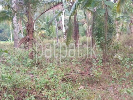 Agricultural Land for Sale in Badalgama