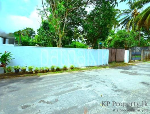 premium-listing-image