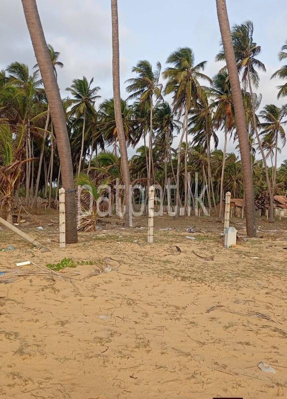 Commercial Land for Sale in Madurankuliya