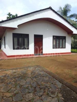 premium-listing-image