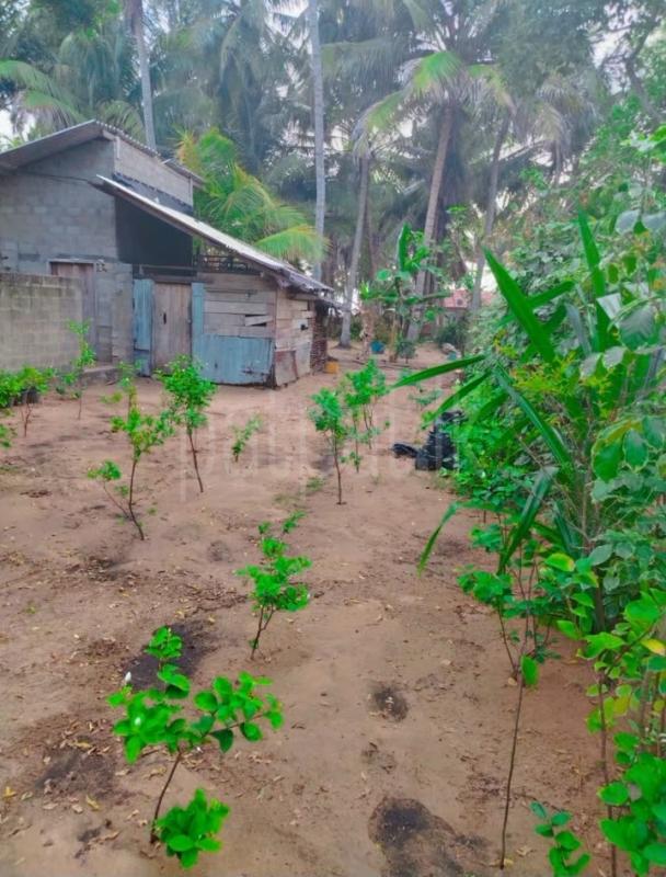 Residential Land for Sale in Puttalam