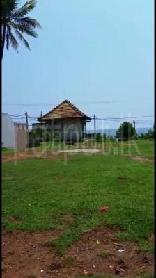 premium-listing-image