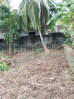 premium-listing-image