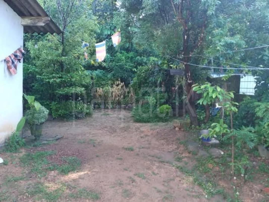 Agricultural Land for Sale in Kollupitiya (Colombo 03)
