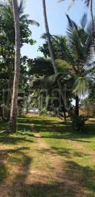 Residential Land for Sale in Kochchikade
