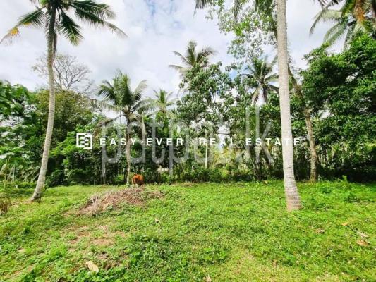 Residential Land for Sale in Padukka
