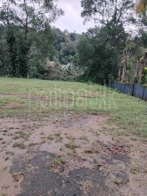 premium-listing-image