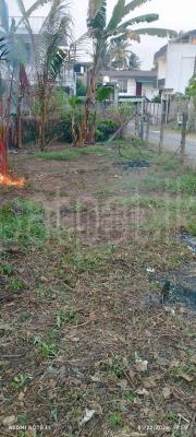 Residential Land for Sale in Akuregoda