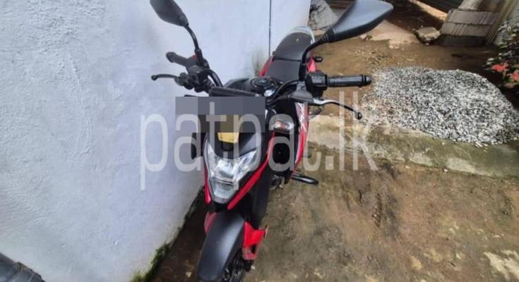 Bajaj Pulsar 2019