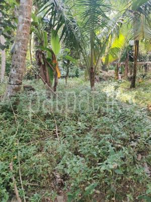 Agricultural Land for Sale in Bandaragama