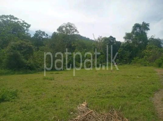 premium-listing-image