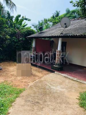 premium-listing-image