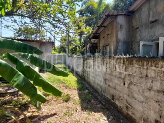 premium-listing-image