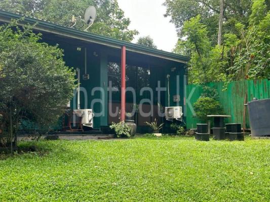 premium-listing-image