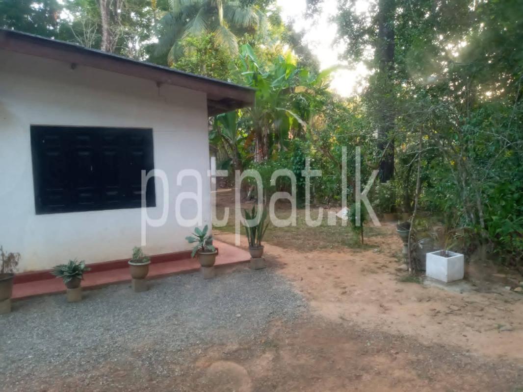 House for Sale in Kekanadurra