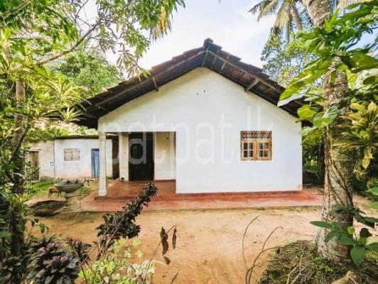 premium-listing-image