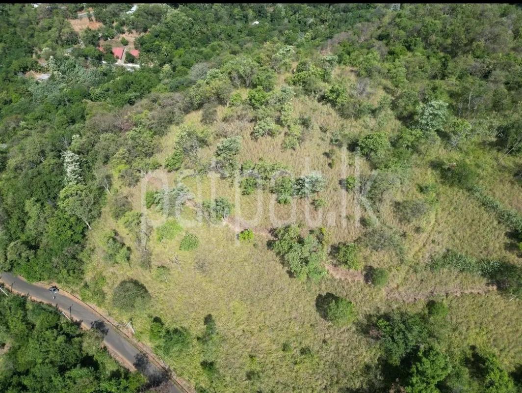 Residential Land for Sale in Ella