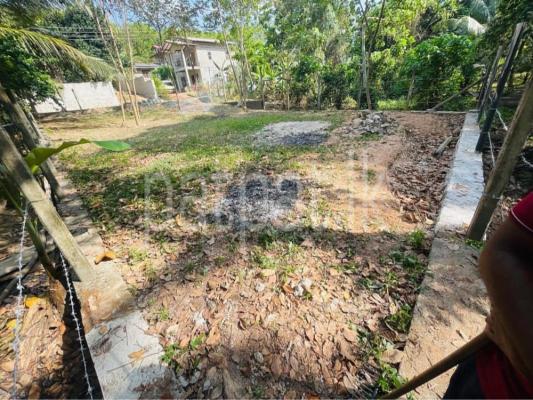 premium-listing-image