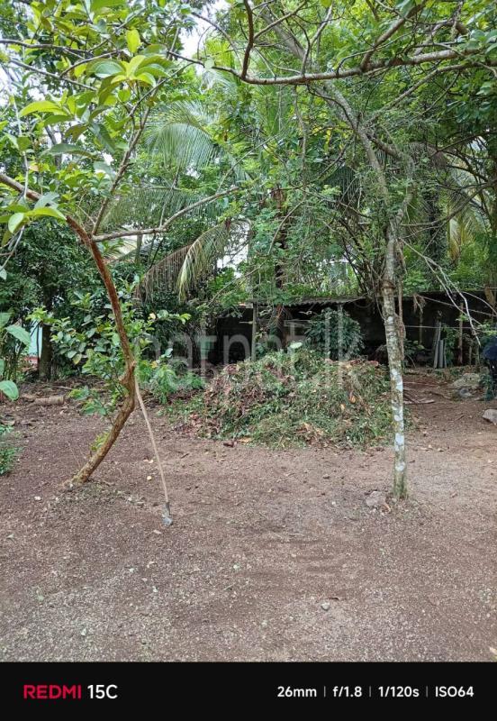 Residential Land for Sale in Yakkala