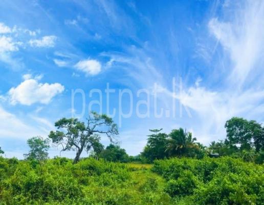 Residential Land for Sale in Bandaragama